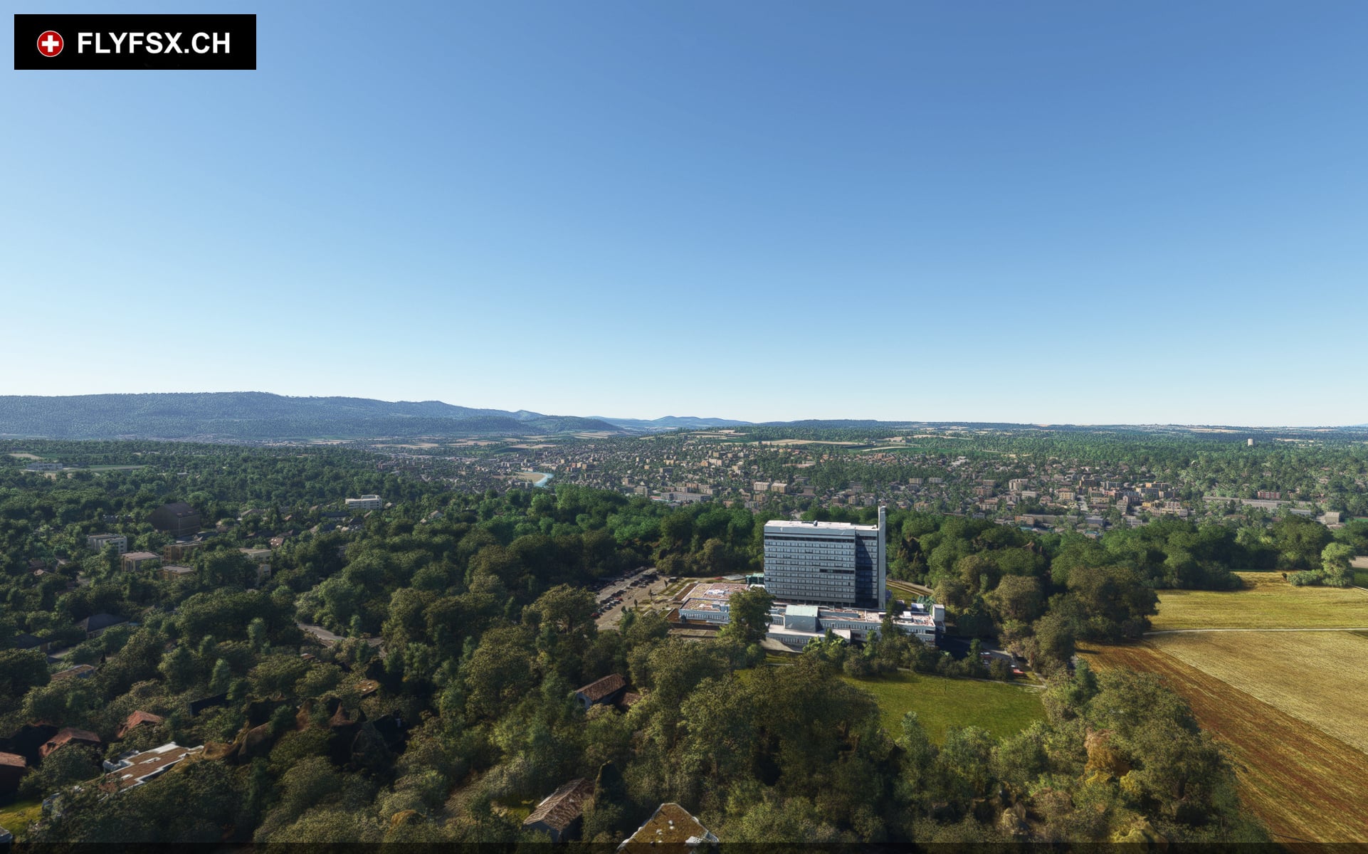 FLYFSX - Flugsimulator - Flight Simulator -  Rüchligweg 55 - 4125 Riehen - Basel - Baden - Aarau - Zürich - Schweiz - Lörrach - Freiburg - Deutschland. 