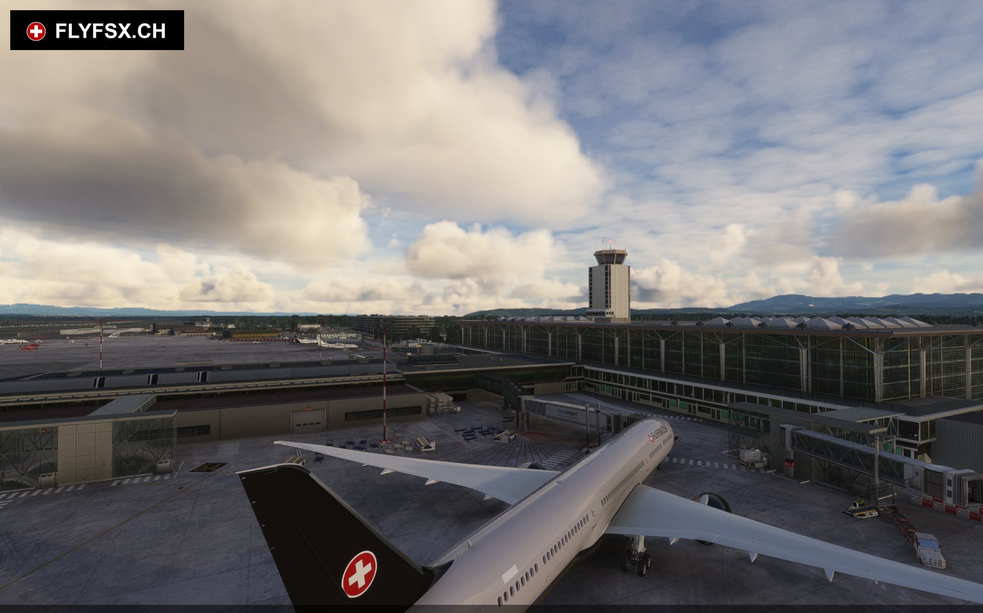 FLYFSX - Flugsimulator - Flight Simulator -  Rüchligweg 55 - 4125 Riehen - Basel - Baden - Aarau - Zürich - Schweiz - Lörrach - Freiburg - Deutschland. 